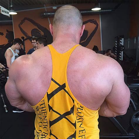 Image result for Pascal Muscle