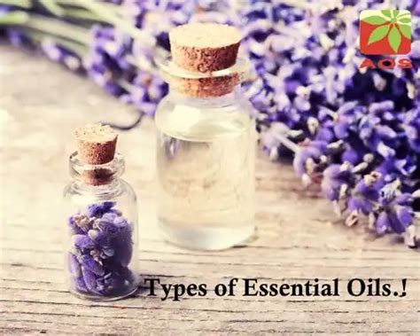 Arachis Oil - Know Benefits, Uses & Purity | AOS Products