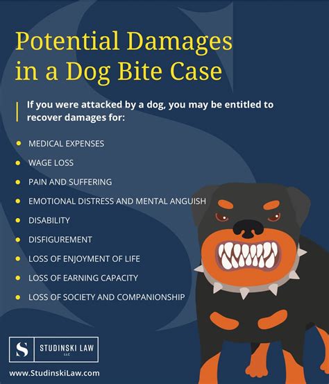 How Long Does A Dog Bite Hurt