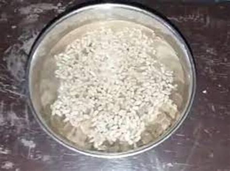 bihar farmer grows magic rice that boil in cold water goes viral pah