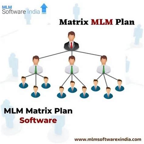 ERP Software And System and Management System And Software IT ...