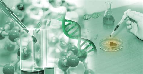 Scientific Model Making 的图像结果