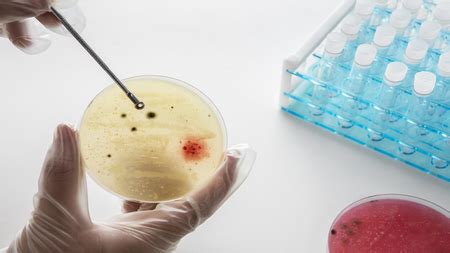 Airborne pathogens behind lung, gut infections 2x more in high ...