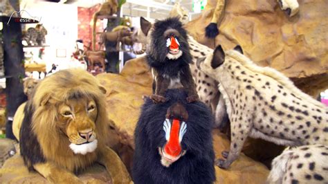 Hansa Realistic Animals – Spielwarenmesse 2020