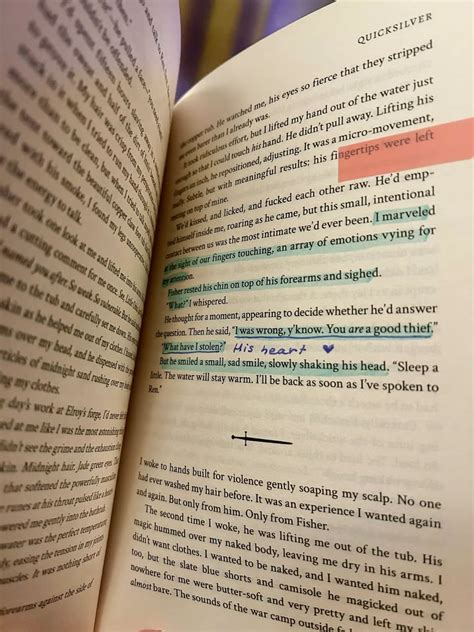 Quicksilver Book Spicy Chapters