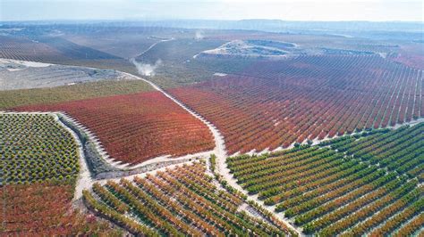 Countryside View 的图像结果
