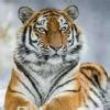 2. If a rectangular hyperbola (x - 1)(y - 2) = 4 cuts a circlex2 + y2 ...