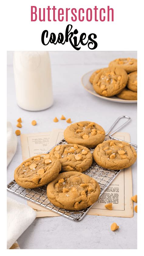The BEST Butterscotch Cookie Recipe - Boston Girl Bakes