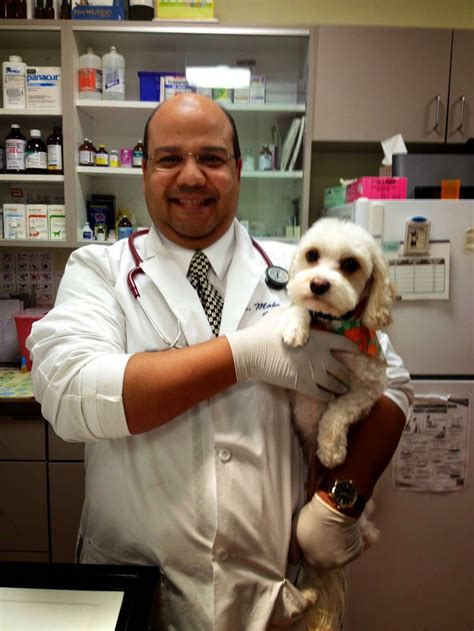 Howell Animal Hospital Nj | fvmtech