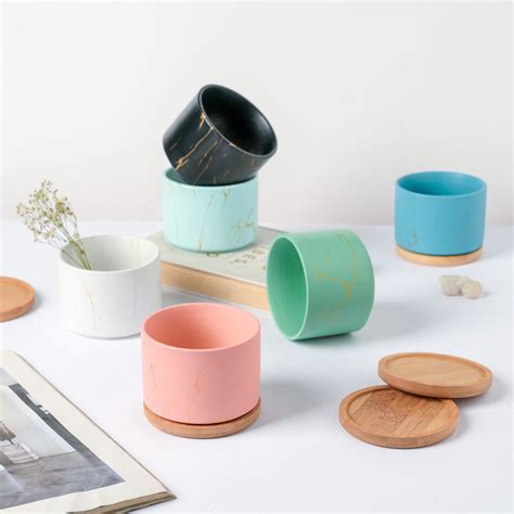 Maple Green Ceramic Planter With Coaster Online - Premium Planter ...