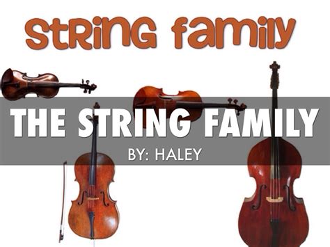 String Instruments Violin 的图像结果