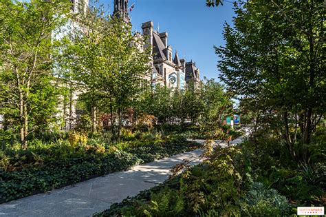 Paris : Shepard Fairey, alias Obey, réalise une œuvre monumentale sur ...