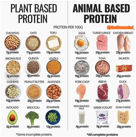 High Protein Foods Easily Digested at Eleonor Olson blog