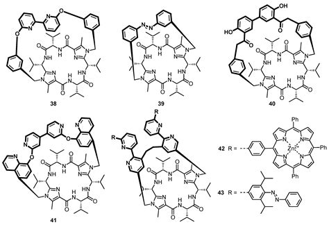 Synthetic Receptors Based on Abiotic Cyclo(pseudo)peptides