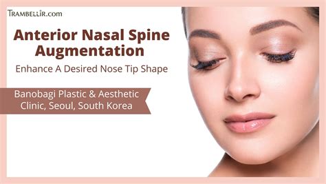 Nasal Spine Image Rhinoplasty Case Study | Dorsal Hump With Drooping