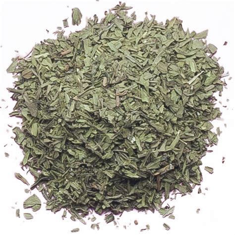 Tarragon Artemisia Dracunculus Seeds - Seedlings India