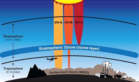 Image result for Ozone Layer Formation