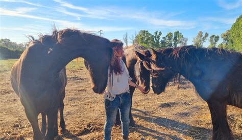 Activities with animals Rome | Starting from €12 | Freedome