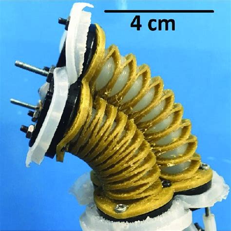 Image result for Wave Spring Installation