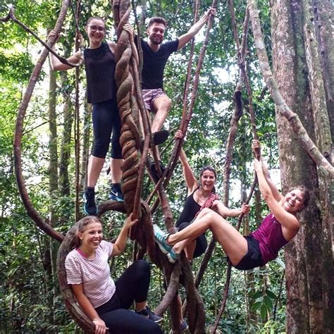 BUKIT LAWANG TREKKING (2025) All You Need to Know BEFORE You Go (with ...