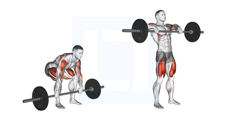 Image result for Lateral Step-Up Machine