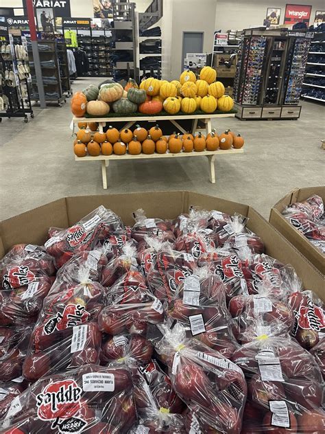 #fall #pumpkins #ruralking | Robin Tippin