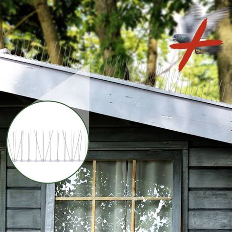 Pigeon Spikes 的图像结果