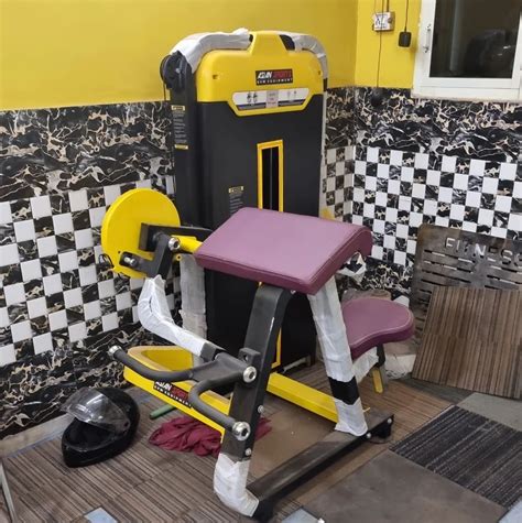 Image result for Bicep Curl Machine Guide