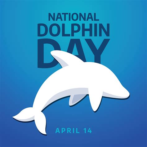 national dolphin day. dolphin day greeting vector design. flat ...