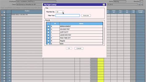 Deltek Costpoint Timesheet 的图像结果