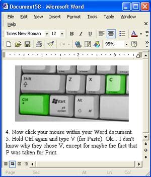 Word Copy Paste Tutorial 的图像结果