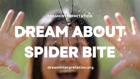 Dream About Rain? (Interpretation & Spiritual Meaning)