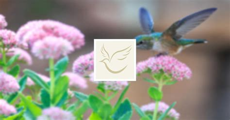 Obituary | Barbara J. Askins | Follis & Sons Funeral Home