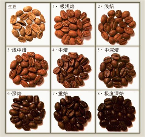 云南咖啡豆几月份成熟 云南咖啡豆是什么品种口感特点 中国咖啡网