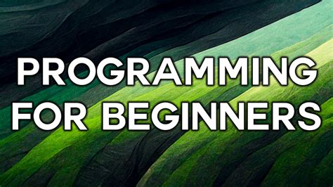 Beginner Programming 的图像结果