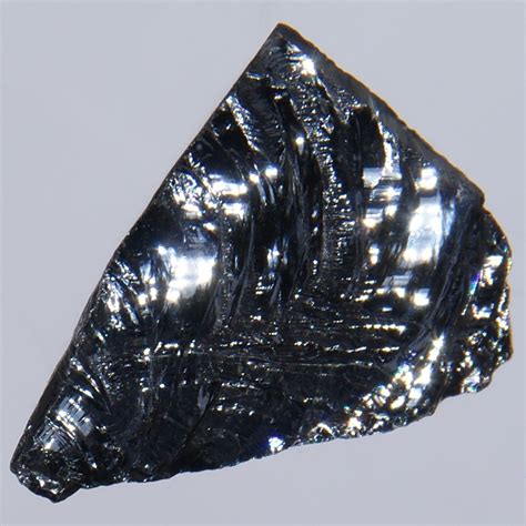 Image result for Sand Lizard