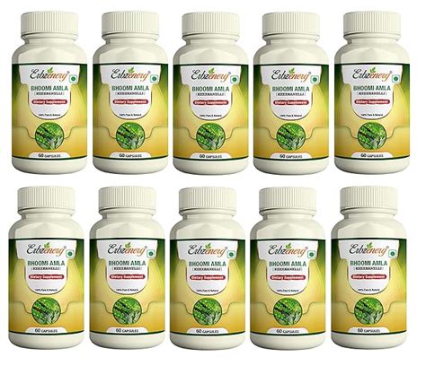 Buy ERBZENERG® Phyllanthus Niruri (Kilanelli)(Bhumi Amala) tamalaki 60 ...
