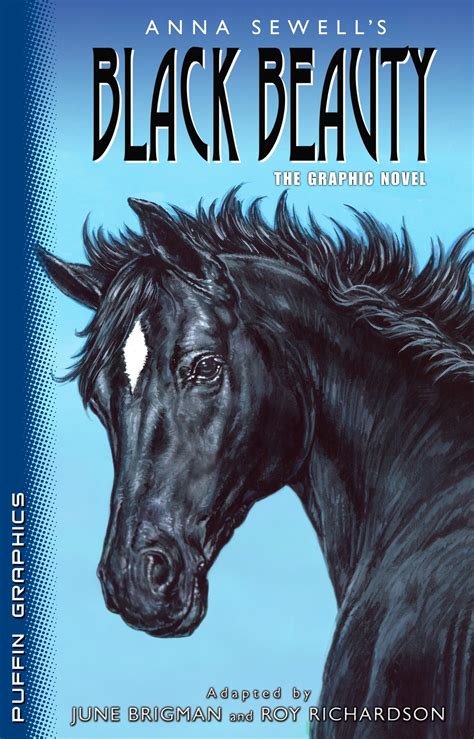 🎉 What is the book black beauty about. Black Beauty by Anna Sewell book ...