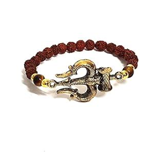 Buy ASTROGHAR God Shiv Shakti Mahadev Ji Trishul Damru Powered Rudraksh ...