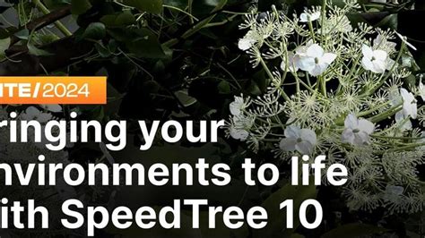 SpeedTree | El estándar de la industria para el modelado procedimental