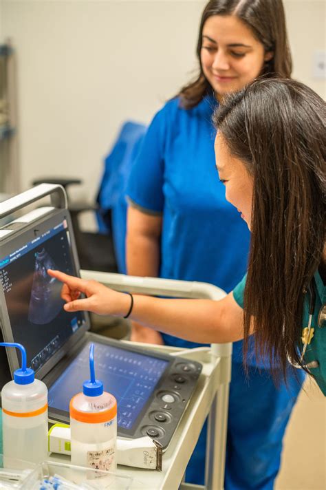 Services - Mountain View Animal Emergency