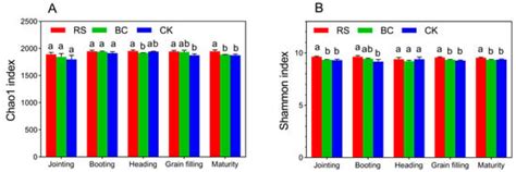Straw and Biochar Application Alters the Structure of Rhizosphere ...