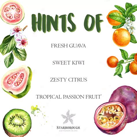 Starborough New Zealand Sauvignon Blanc White Wine - Shop Wine at H-E-B