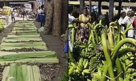 Price of banana leaves soar on Onam, Subha Muhurtham; check details here