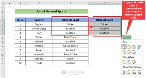 Image result for Paste Options Do Not Work in Excel