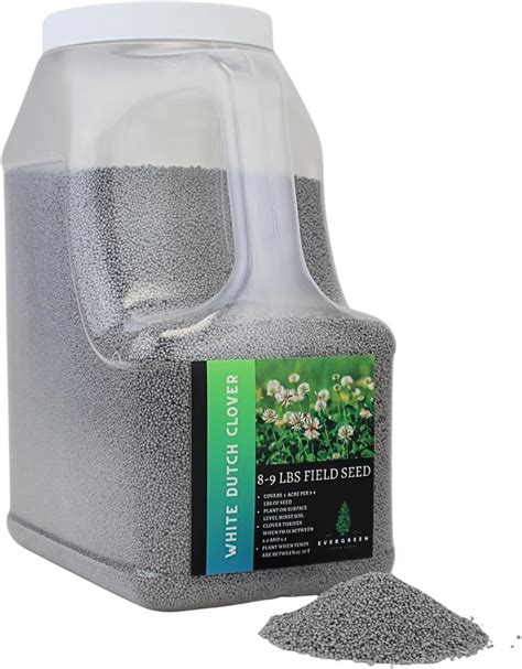 Amazon.com : Dutch White Clover Lawn Seed 8.5 Lb - Premium Seeds for ...