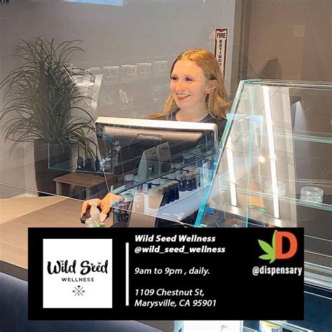 DISPENSARIES - DankCity