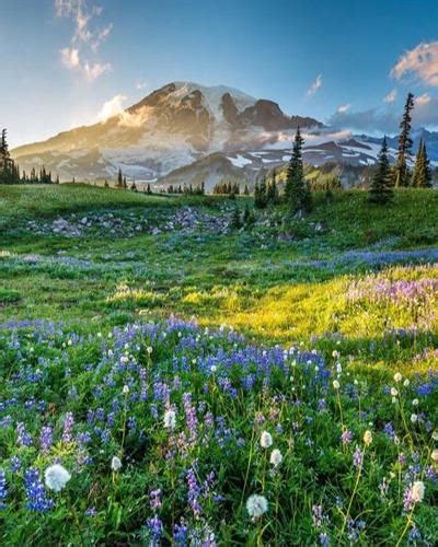 Carl Edward McCurry Jr Obituary (2023) - Cleveland, TN - Poole Funeral ...