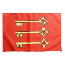 Drapeau France Avignon avec ourlet - maison-des-drapeaux.com