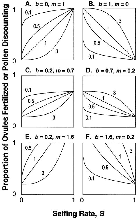 Image result for Simple Function